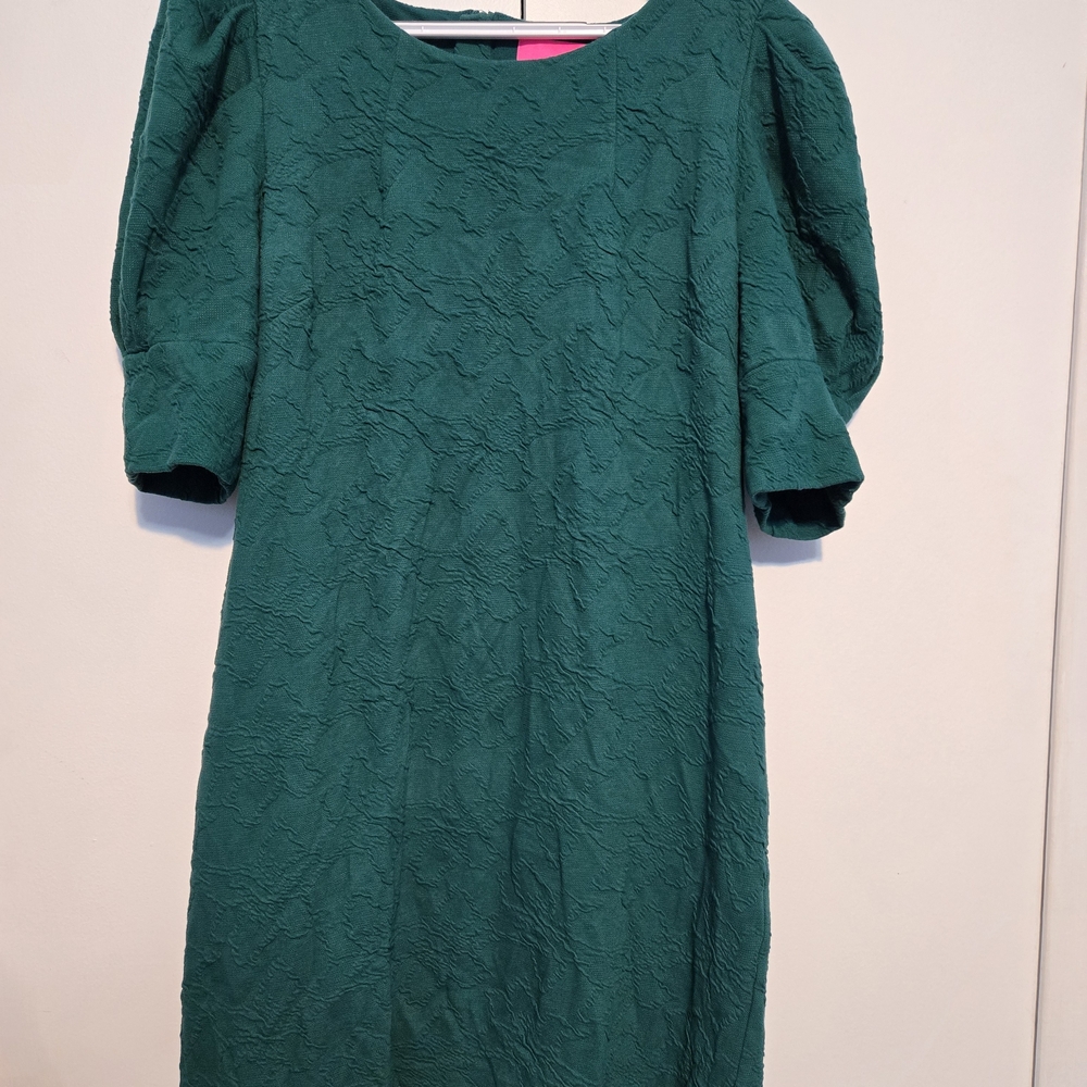 Lilly Pulitzer Green Textured Puff Sleeve Dress - Picture 2 of 8